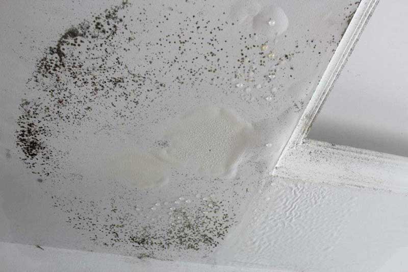 天花板防水補漏 天花板防水補漏